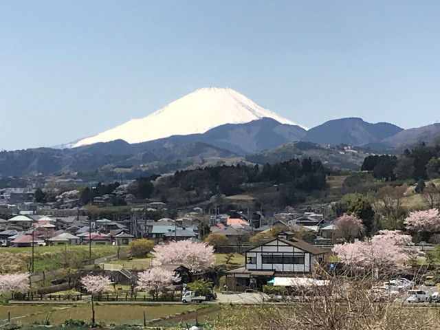 田原ふるさと公園 そば処 東雲